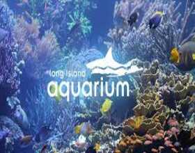 Long Island Aquarium Tickets